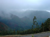 madeira031