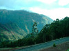 madeira033