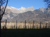 maienfeld-35