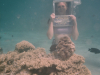 mauritius-usw02