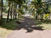 mauritius025