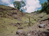 mauritius035