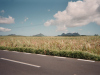 mauritius049