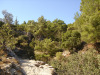 rhodos05