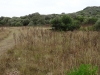 sardinien-2015-juni-07