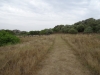 sardinien-2015-juni-08