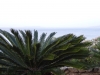 sardinien-2015-juni-19