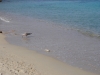 sardinien-2015-september-10