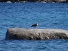 sardinien-2015-september-31