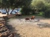 sardinien-2017-44
