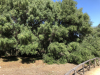 sardinien-2018-51