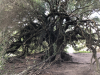 sardinien-2018-56