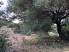 sardinien-2018-57