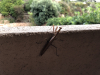 sardinien-2018-76