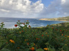 sardinia-2020-011