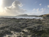 sardinia-2020-019