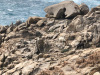 sardinia-2020-030