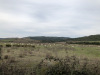 sardinia-2020-056