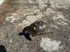 sardinia-2023-048