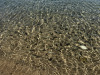 sardinia_2026_241
