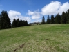 schwarzwald2015-14.jpg