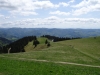schwarzwald2015-26.jpg