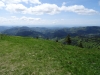 schwarzwald2015-27.jpg