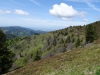schwarzwald2015-28.jpg