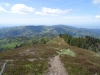 schwarzwald2015-30.jpg