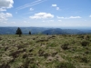 schwarzwald2015-31.jpg