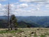 schwarzwald2015-32.jpg