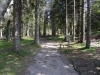 schwarzwald2015-34.jpg