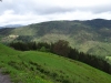 schwarzwald2016-26