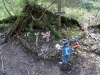 schwarzwald2016-38