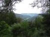 schwarzwald2016-48