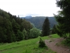 schwarzwald2016-49