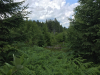 schwarzwald-2017-2-60