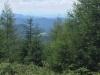 schwarzwald-2017-2-61