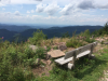 schwarzwald-2017-2-62