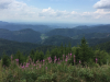 schwarzwald-2017-2-63
