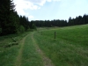 schwarzwald-2017-19