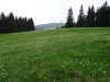 schwarzwald-2017-33