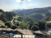 schwarzwald-2018-2-006