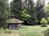 schwarzwald-2018-11