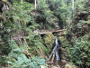 schwarzwald-2019-2-57
