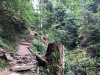 schwarzwald-2019-2-58