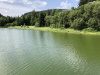 schwarzwald-2019-2-64