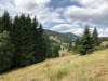 schwarzwald-2019-2-71