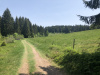 schwarzwald-2019-10