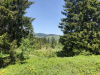 schwarzwald-2019-12